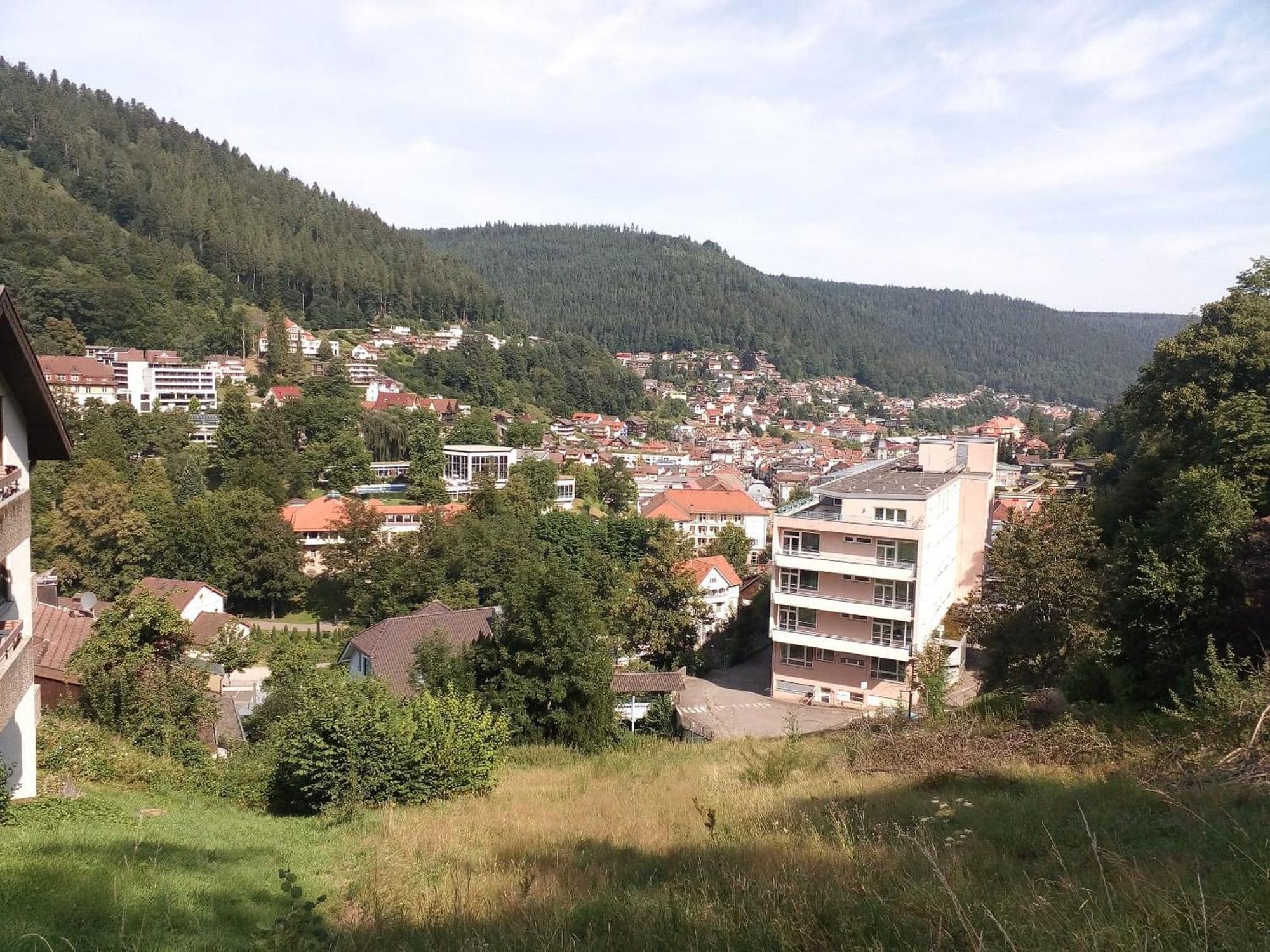 Ferienwohnung Tannenwald Bad Wildbad Buitenkant foto