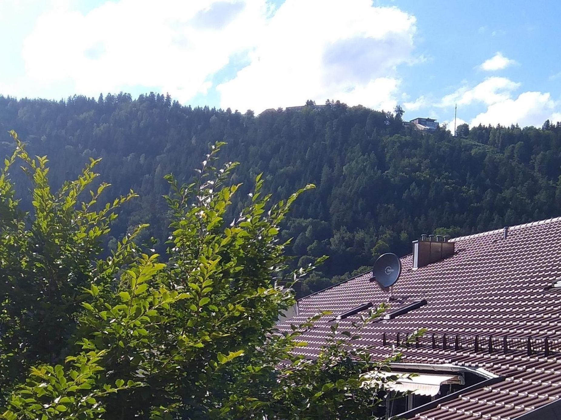 Ferienwohnung Tannenwald Bad Wildbad Buitenkant foto